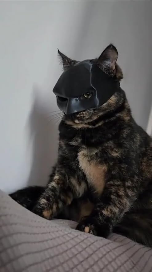 Black Cat Mask Costume Accessory, Half-Face Design, Pet Dress Up