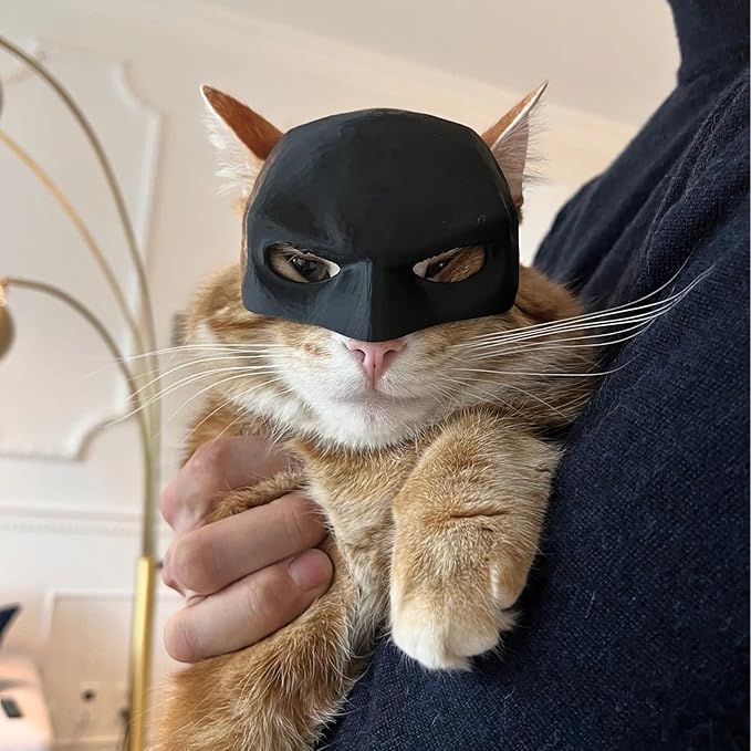 Black Cat Mask Costume Accessory, Half-Face Design, Pet Dress Up